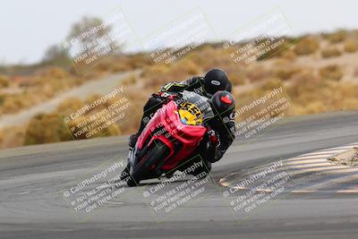 media/Feb-27-2022-CVMA (Sun) [[a3977b6969]]/Race 6 500 Supersport-350 Supersport (Holeshot)/